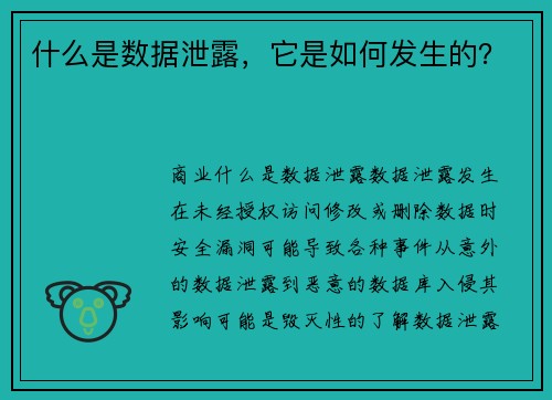 什么是数据泄露，它是如何发生的？